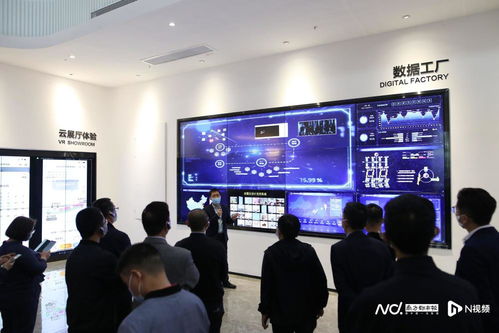 数字广告发布策略与实践指南